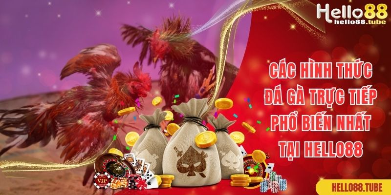 Đá Gà Trực Tiếp Sàn Đấu Của Những Chiến Kê Mạnh Mẽ 3 Một số hình thức cá cược đá gà trực tiếp hot hit tại Hello88