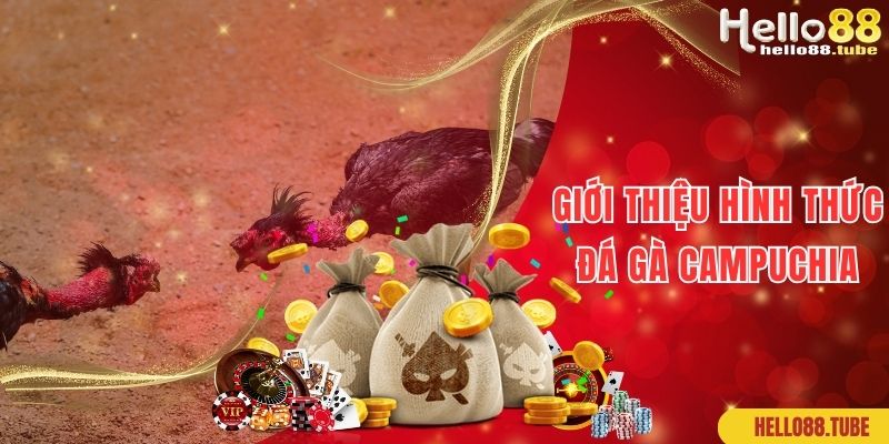 Đá Gà Campuchia Thiên Đường Kiếm Tiền Không Giới Hạn 1 Giới thiệu bộ môn đá gà Campuchia đẳng cấp số 1 hiện nay