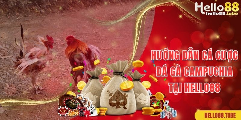Đá Gà Campuchia Thiên Đường Kiếm Tiền Không Giới Hạn 3 Hướng dẫn cược đá gà Campuchia tại website Hello88