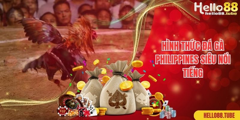 Đá Gà Philippines - Hình Thức Giải Trí Đẳng Cấp Nhất 2024 1 Hình thức đá gà Philippines siêu nổi tiếng